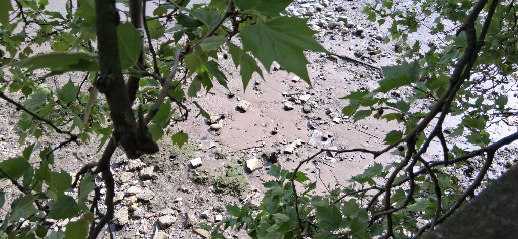 Muddy riverbank with scattered rocks and debris, seen through green leaves.