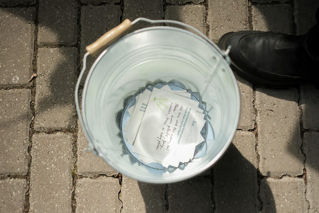 View into a bucket containing handwritten cards collected during the walk.