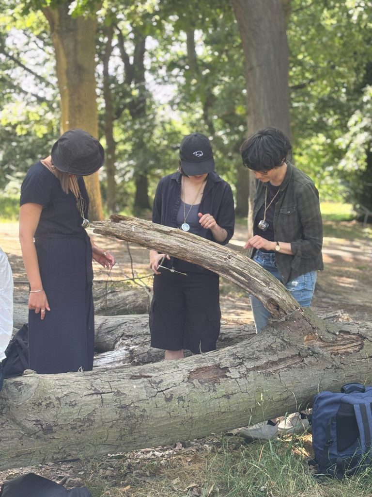 Three participants examining the surface of a fallen tree trunk closely.