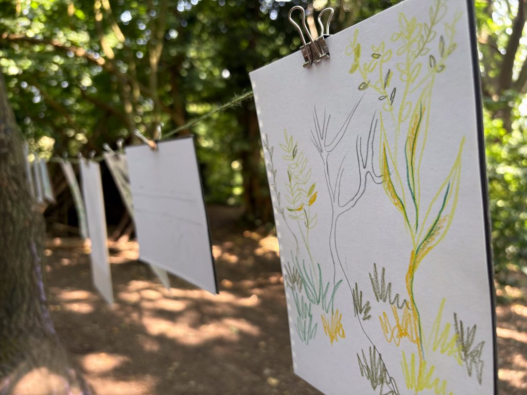 Close-up of pencil and crayon drawings hung on a string between trees for a woodland gallery.