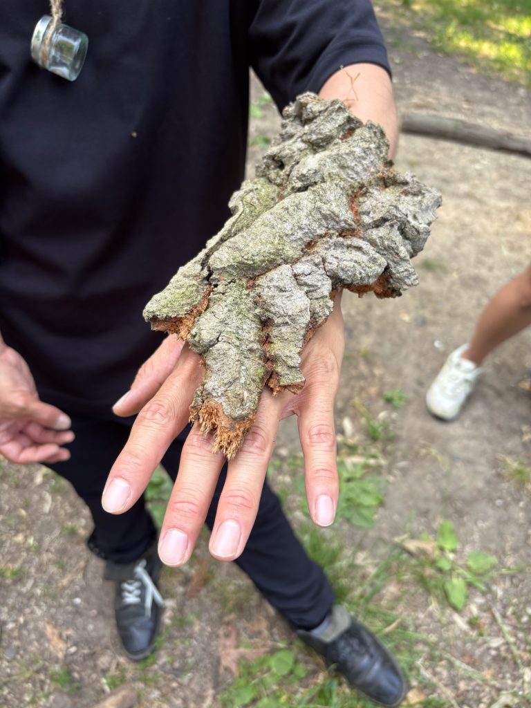 Close-up of a large piece of rough tree bark with mossy texture placed on particpant's wrist.