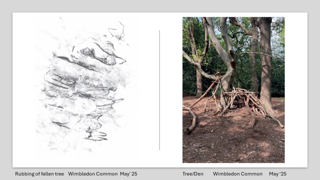 Side-by-side images: on the left, a charcoal-style rubbing of a fallen tree trunk; on the right, a photograph of a large tree with branches forming a den-like structure from leaning sticks in a woodland clearing.